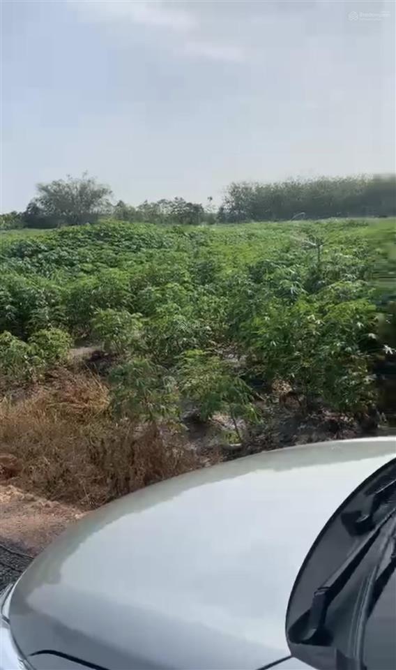 Bán lô đất vườn quy hoạch đất ở