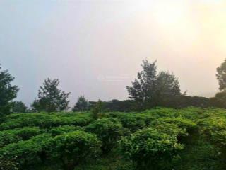 Cơ hội sở hữu một nơi để trở về với độ cao 1000m view săn mây  bám suối nguồn tự nhiên