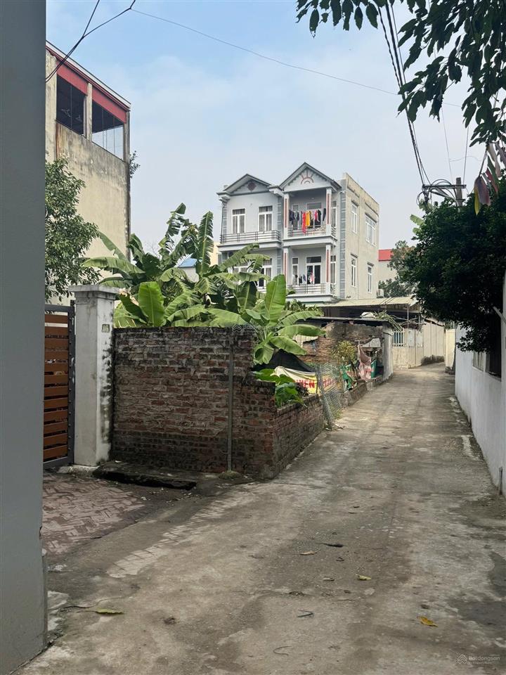 Chính chủ bán đất 48,3m2 tại cổ dương, tiên dương, đông anh, hà nội