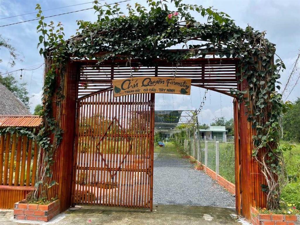 Chính chủ cần bán farmstay nghỉ dưỡng 1012m2 full thổ cư tại gò dầu, tây ninh