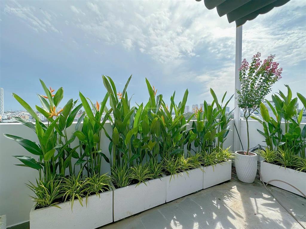 Siêu phẩm mt p. bến nghé, ngang 10m  siêu khan hiếm