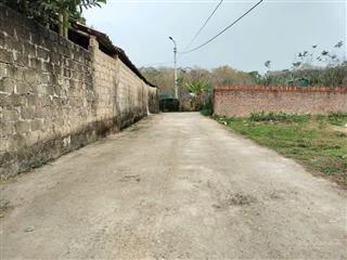 Bán đất 101m2, 550 triệu tại xã hoàng hoa, tam dương, vĩnh phúc