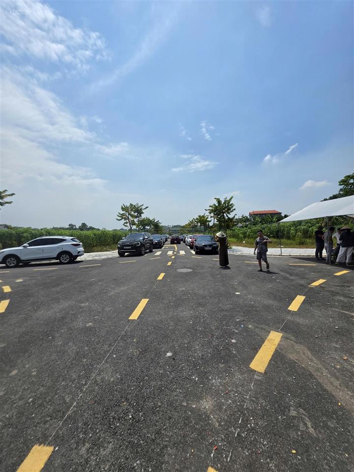 Bán đất đấu giá kiên tràng 108m2 tại xã tam quan 980 triệu rẻ chưa từng có