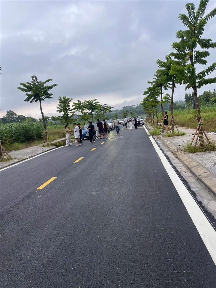 Bán đất đấu giá kiên tràng 108m2 tại xã tam quan 980 triệu rẻ chưa từng có