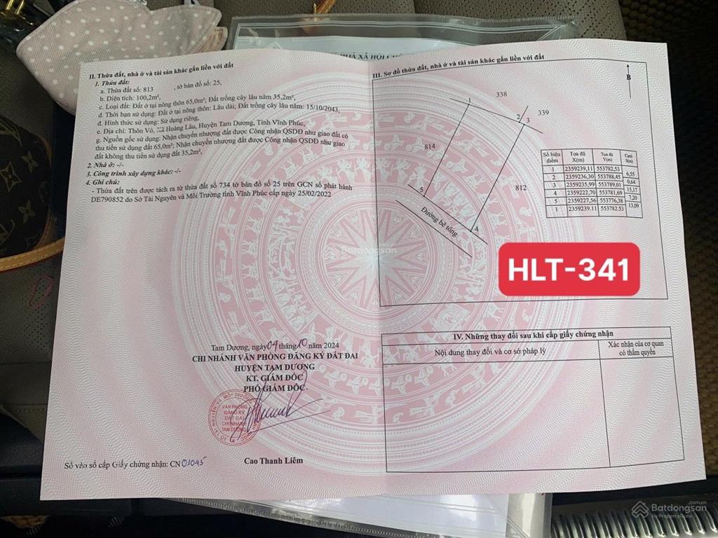 Bán đất 100m2 tại hoàng lâu, tam dương, vĩnh phúc chỉ với 1,48 tỷ