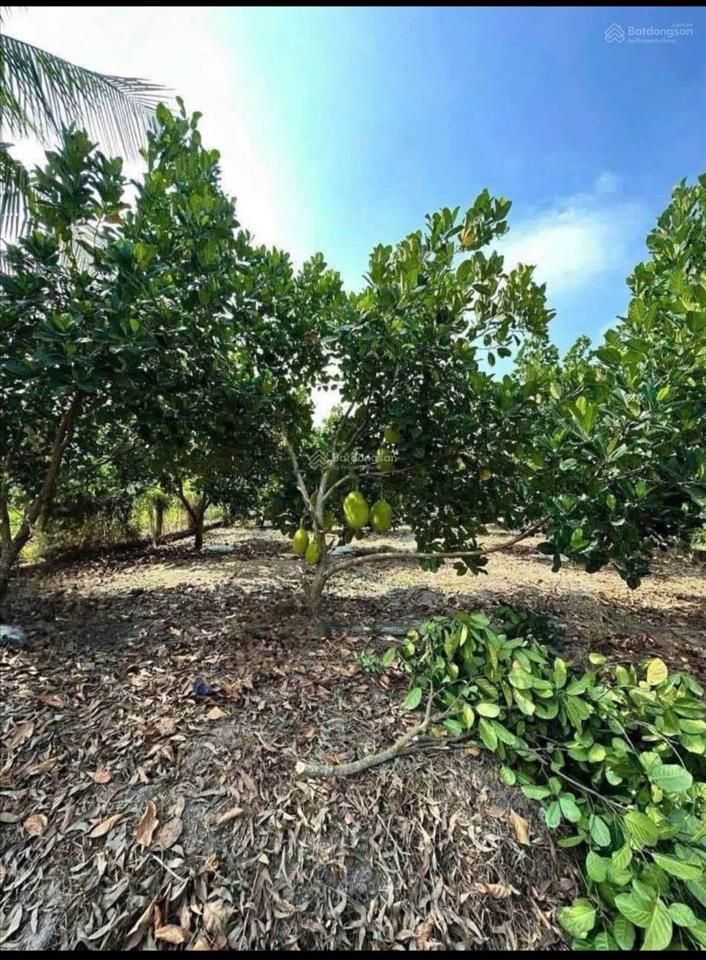 Bán nhà vườn sổ hồng riêng, thổ cư 110m2 giá 820triệu ngay kdc dương đình cúc kế bên đh y khoa