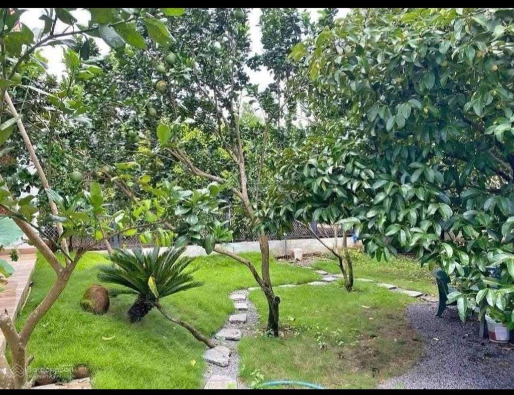 Kẹt vốn làm ăn cần bán nhà vườn sổ hồng riêng, diện tích 178,5m2 kế bên chợ qui đức giá 860triệu