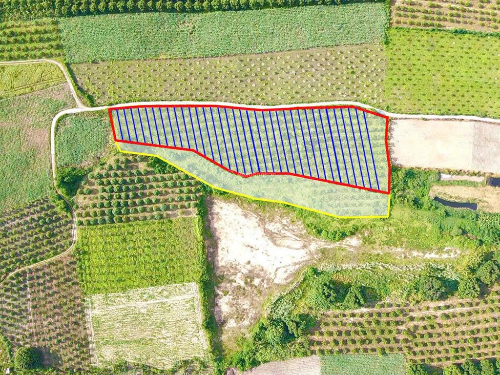 Chủ cần bán 8 sào tại xuân lập, cam hiệp, mặt tiền gần 200m, full thổ cư chỉ 2 triệu /m2