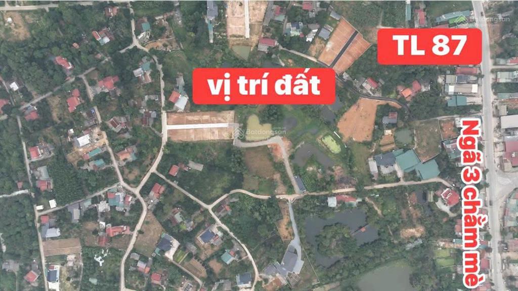 1,2 tỷ sở hữu 150m2 full thổ cư, sẵn sổ đỏ riêng, đường đổ nhựa 2 ô tô tránh, cách tỉnh lộ chỉ 200m
