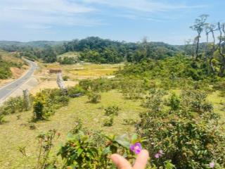 Cơ hội sở hữu đất đẹp tại măng đen, view săn mây cực chill. dt 2200m2 giá chỉ hơn 1 tỷ