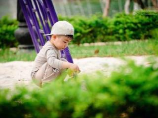 Moonlight 2  một phiên bản nâng cấp sẽ ra mắt trong tháng 7 này...