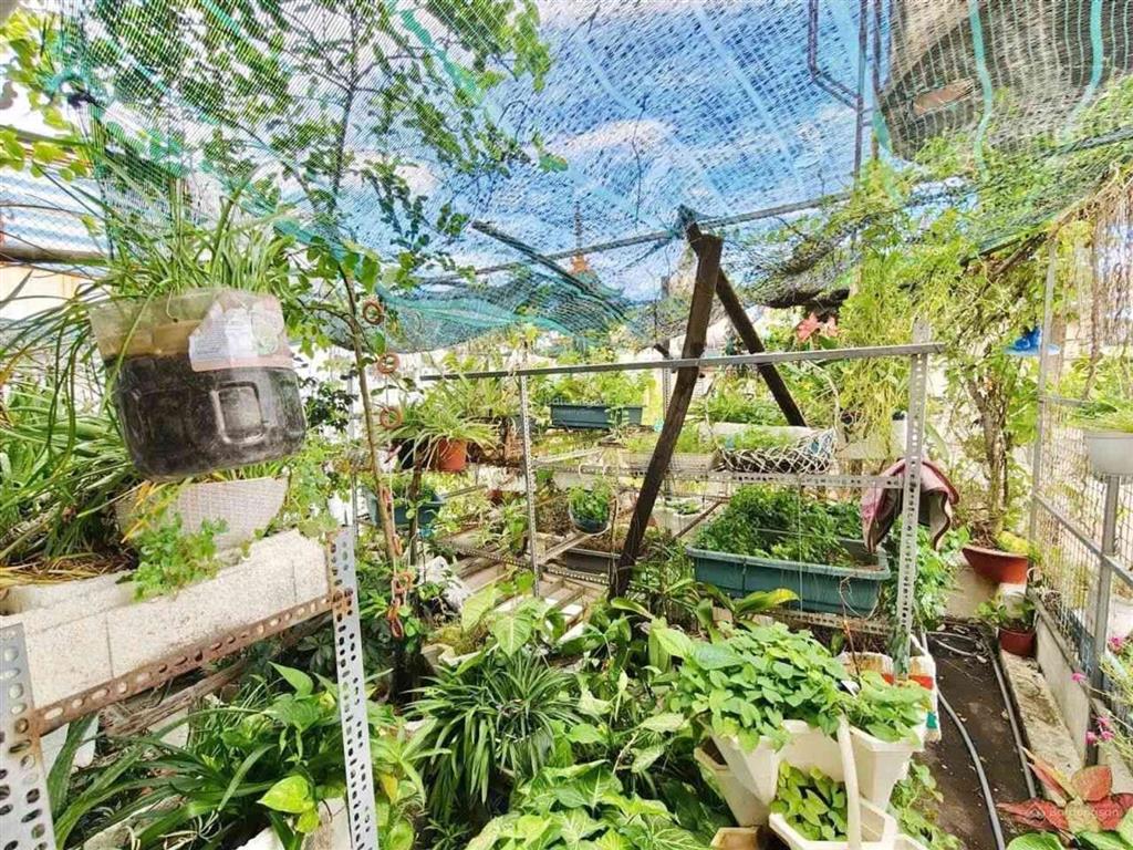 Bán nhà bà hạt quận 10  hxt cách 1 căn  lô góc không lộ giới  4 tầng btct