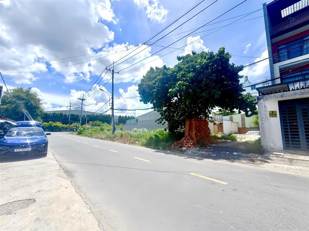 Bán gấp lô đất mặt tiền đường trần tử bình 159m2, sổ hồng riêng, giá 1 tỷ 300tr