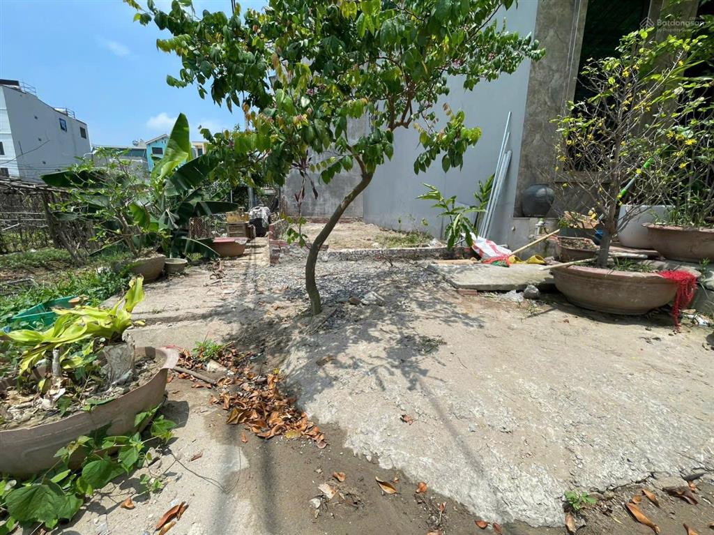 Chính chủ bán đất 60m² tổ 5 quang minh  lô góc kinh doanh sầm uất giá  chỉ nhỉnh 5 tỷ
