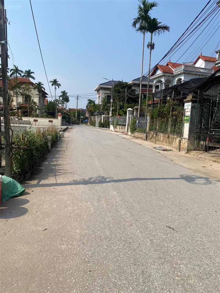 Lô đất đẹp giữa lành hoa phụng công