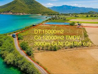 Cần bán gấp lô 15000m2 (1,5ha) đất tmdv, đất view trực diện biển ninh vân vị trí đẹp nhất khu!