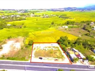 Bán gấp 3205m2, có 3000m2 đất ở đô thị còn lại cây lâu năm. đường quốc lộ 1a, xã ninh an, ninh hòa