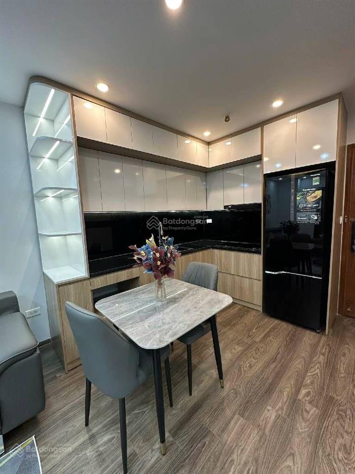 Bán căn hộ hateco hoàng mai 52m2  view trực diện công viên yên sở  sổ đỏ chính chủ  4.5 tỷ