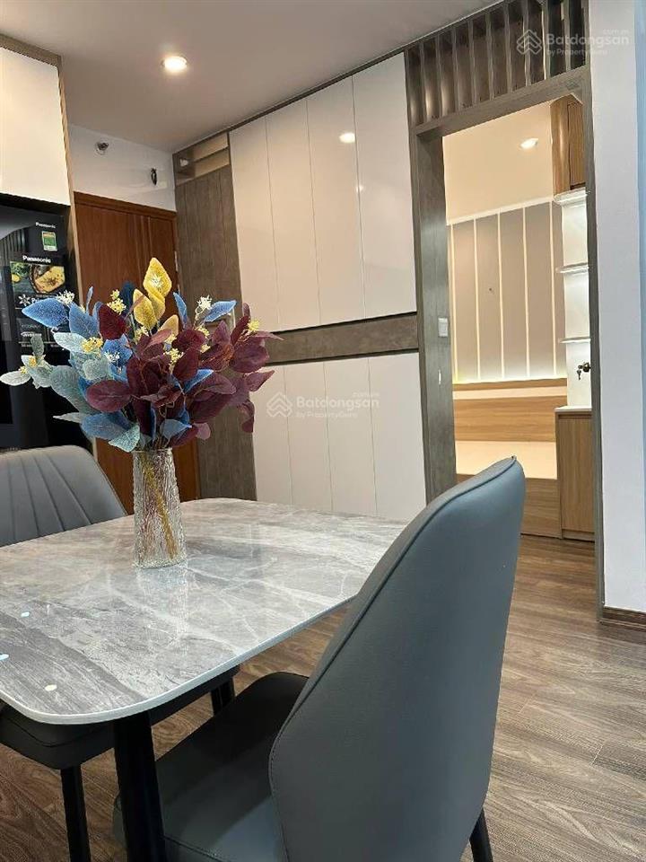 Bán căn hộ hateco hoàng mai 52m2  view trực diện công viên yên sở  sổ đỏ chính chủ  4.5 tỷ