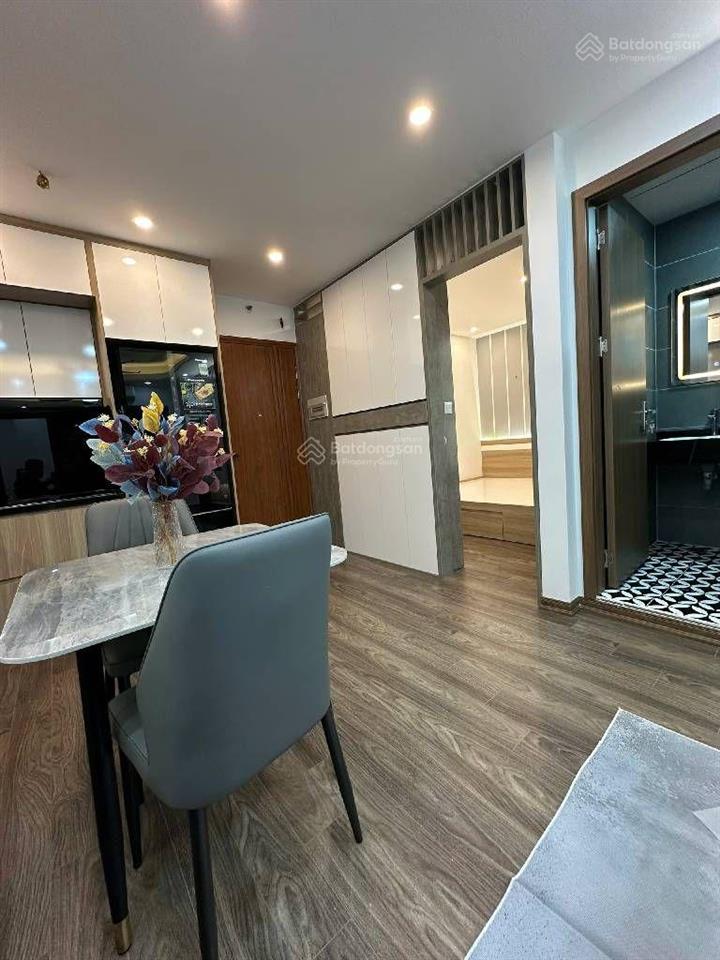 Bán căn hộ hateco hoàng mai 52m2  view trực diện công viên yên sở  sổ đỏ chính chủ  4.5 tỷ