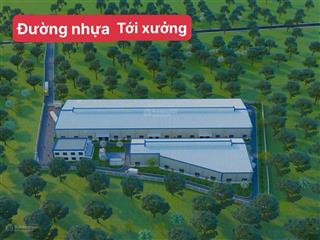 Bán xưởng long nguyên, bàu bàng, bình dương