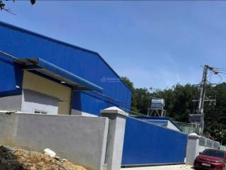Bán gấp xưởng tân uyên, hcm. hiện đang cho thuê 115tr/th. giá bán 22 tỷ