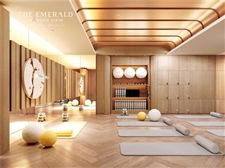 The Emerald Garden View thanh toán 15% 239tr sở hửu ngay căn 2PN