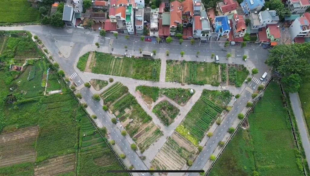 Cần bán lô góc 3 mặt thoáng đấu giá thái bình, đông anh giá rẻ