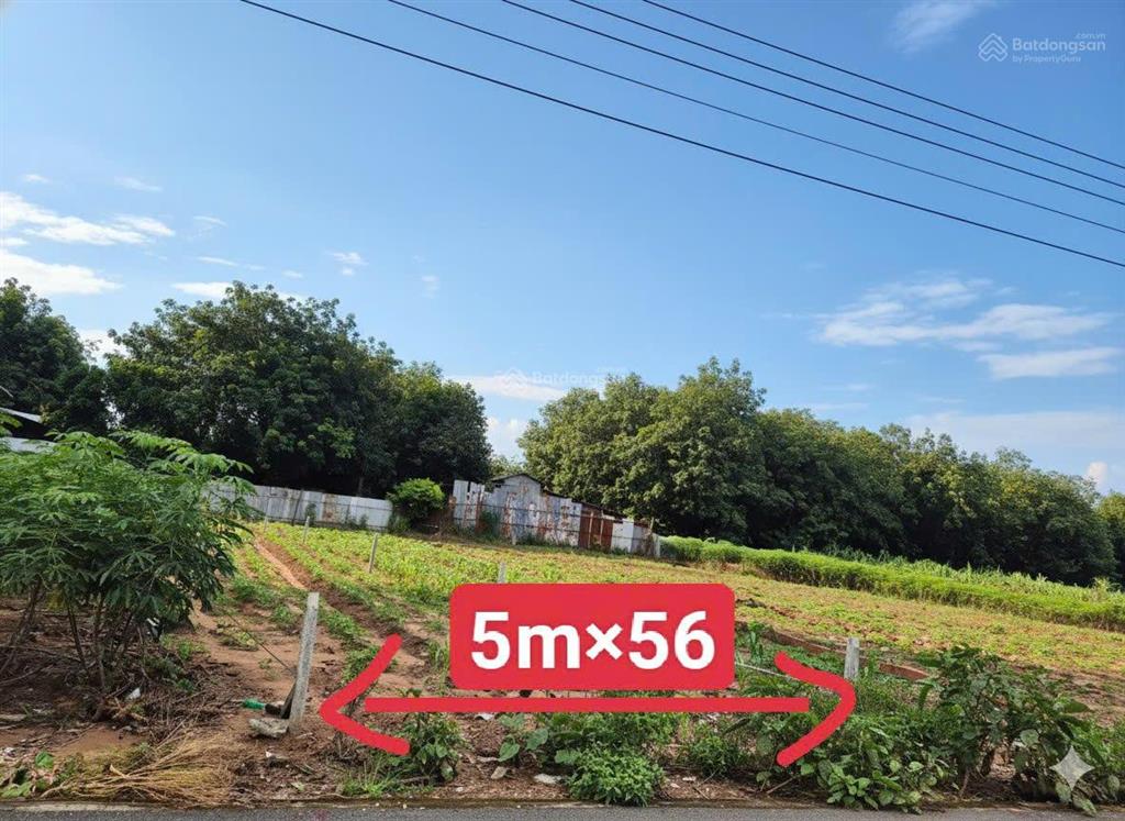 Mặt tiền đường huyện dh504 32m thích hợp đầu tư kinh doanh xây trọ 280m2 620tr bao phí