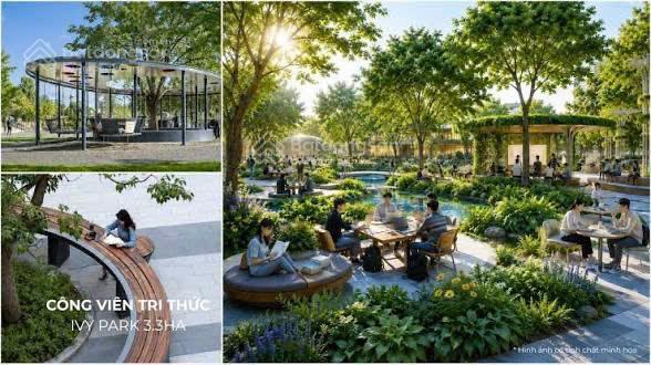 Bán căn góc hiếm 57m2 dự án vinhome saigon park giá chỉ 7,x tỷ