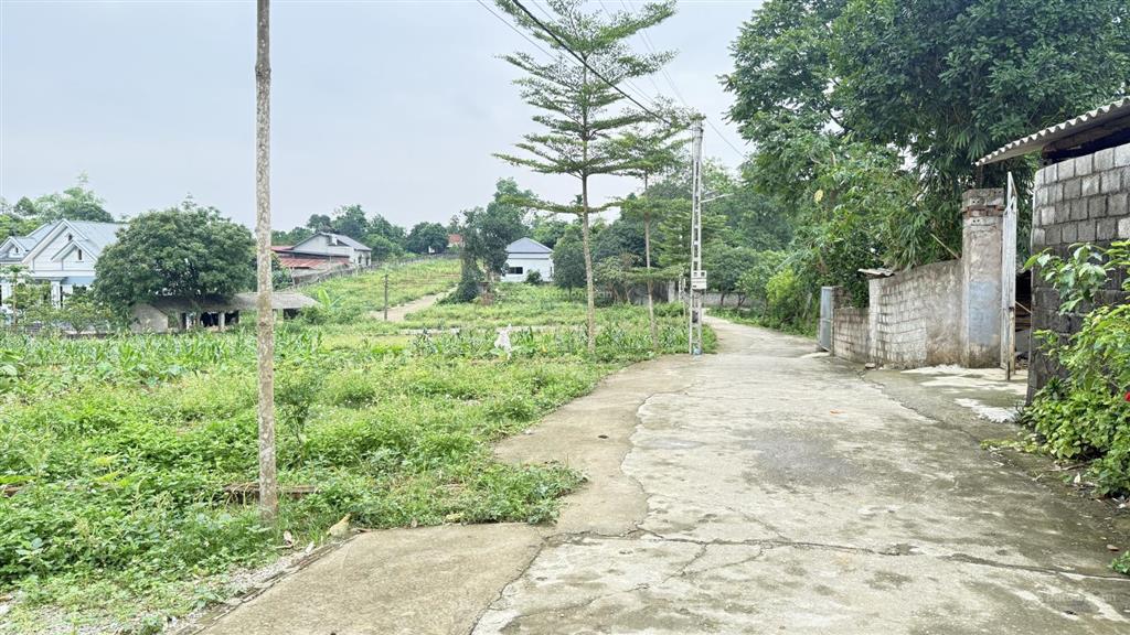 Chính chủ bán 366m tai cư yên lương sơn