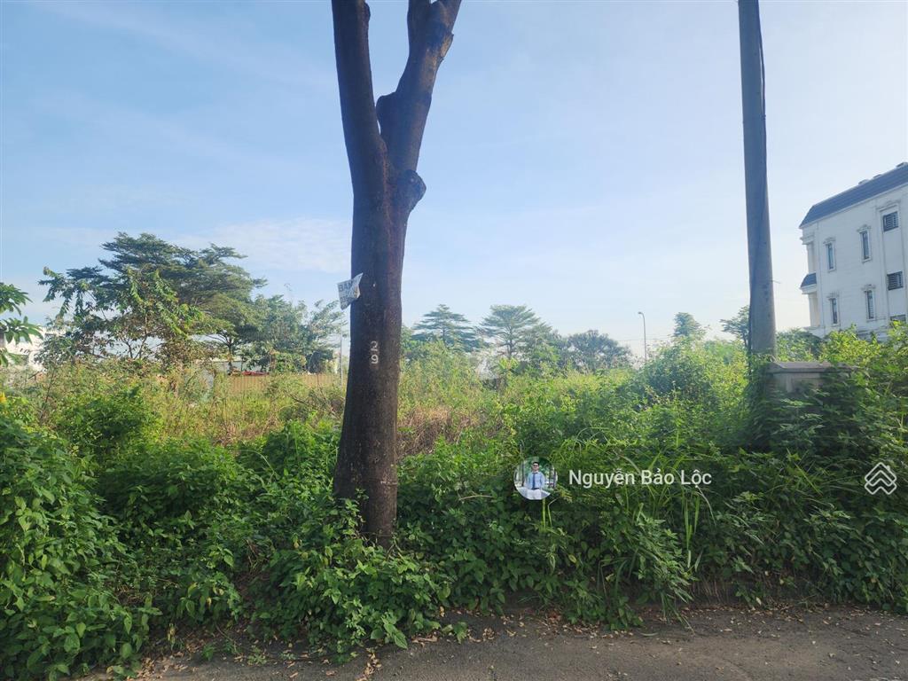 Ngộp bank  160m2 (8m x 20m)  đường 10m  10,5 tỷ