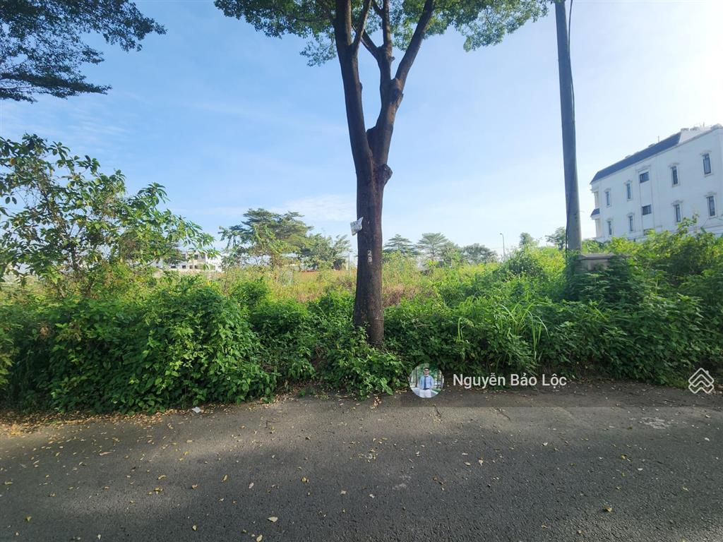 Ngộp bank  160m2 (8m x 20m)  đường 10m  10,5 tỷ