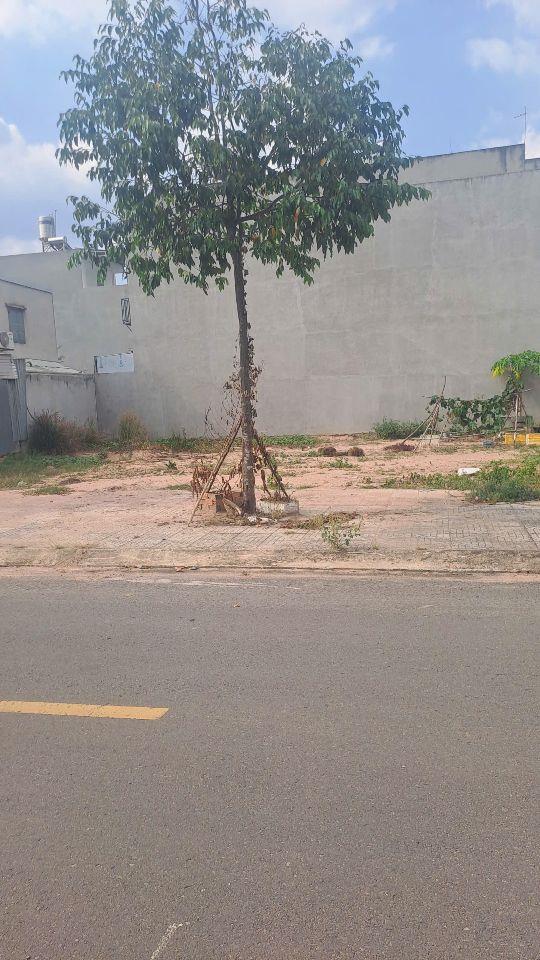 BÁN ĐẤT TÁI ĐỊNH CƯ LỘC AN – BÌNH SƠN - LÔ GÓC ĐỐI DIỆN CÔNG VIÊN.