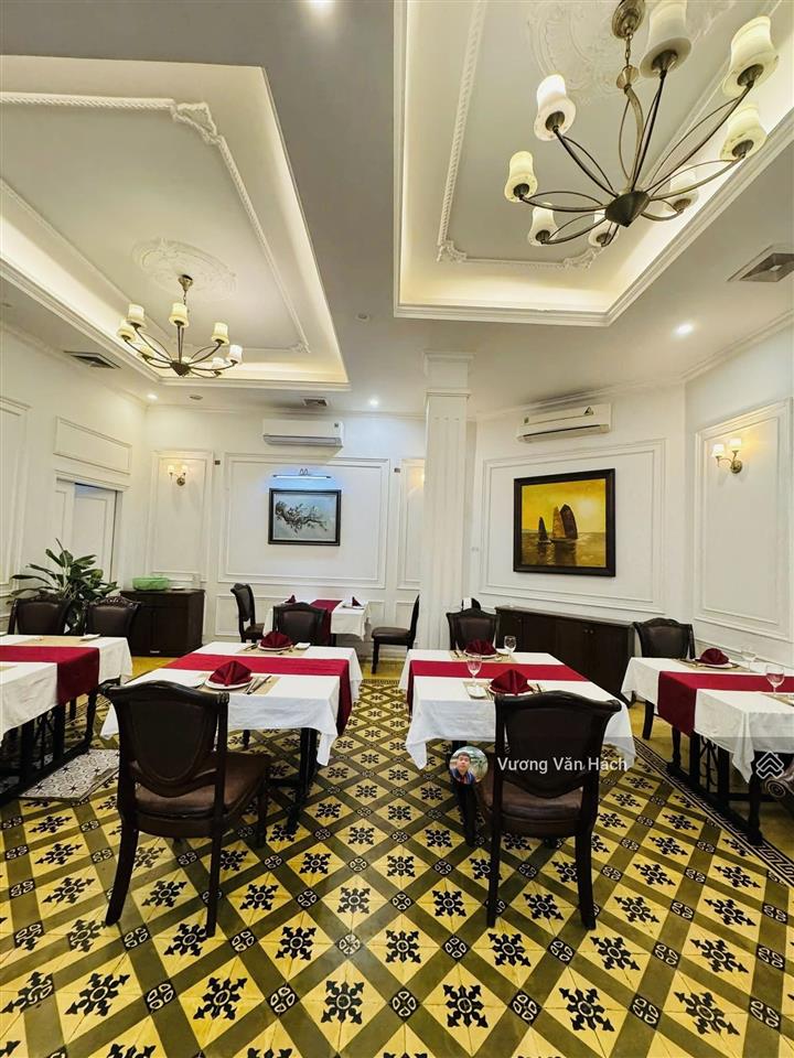 Chính chủ bán mặt phố nguyễn khánh toàn  lô góc 3 thoáng  vỉa hè siêu rộng  kinh doanh vip