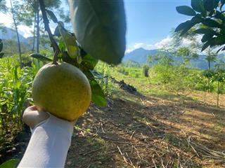 Bán đất ở xã hiền lương, 1,65 tỷ, 1800m2, chính chủ đẹp, nhiều tiện ích