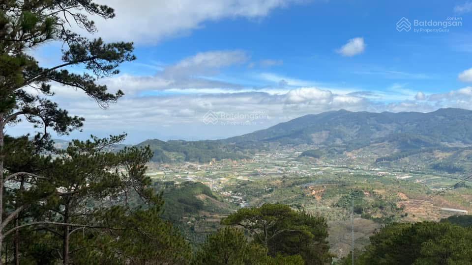 Trung tâm d'ran, 987m2, sẵn 300m2 thổ cư, qh full thổ