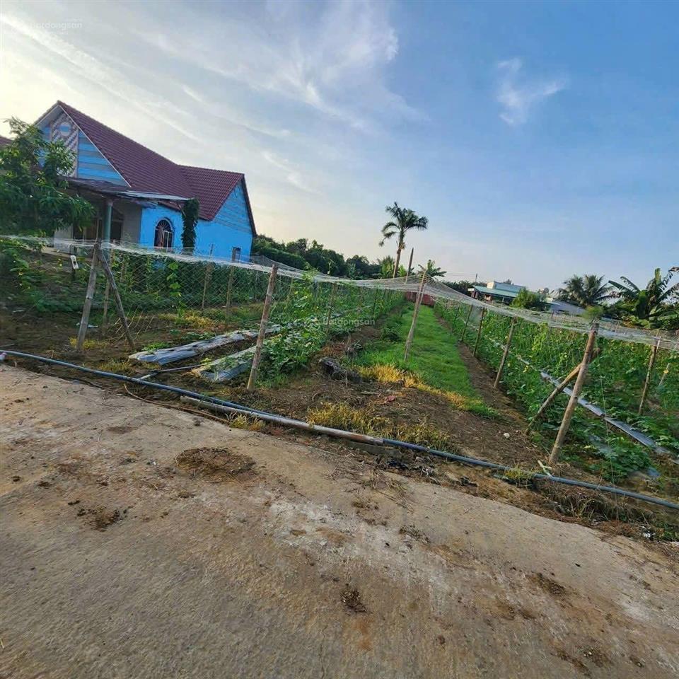 Bán đất ven sông giá cực rẻ tại tân uyên, bình dương