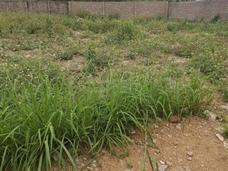 Bán đất thường vũ an bình dt 480m mt 20m ngõ 4m ô tô vào đất lành dân cư đông gần khu công nghiệp