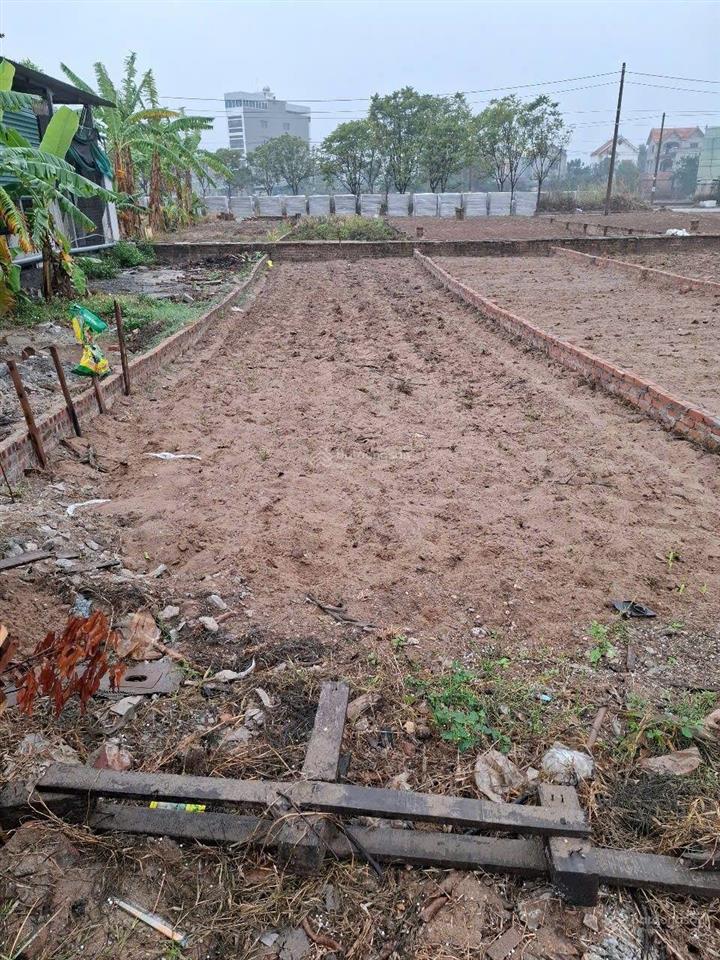 Bán gấp đất tại xã đình tổ, 3,32 tỷ, 81m2, mặt tiền 4,5m