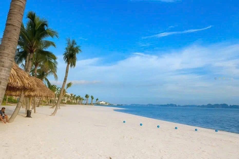 Khẳng định vị thế chủ nhân tinh anh tại căn góc 2PN tòa M Prima Bay Hạ Long.