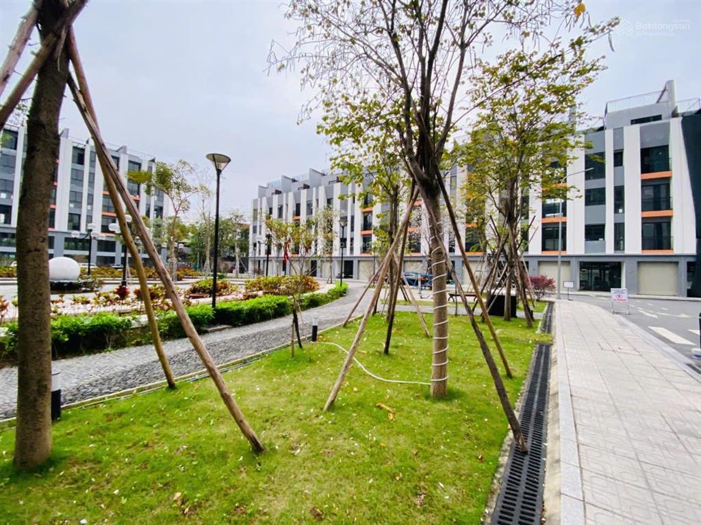Chủ đầu tư cần tiền giảm chào 8 tỷ cho căn lk dự án hoàng thành pearl. giá đầu tư
