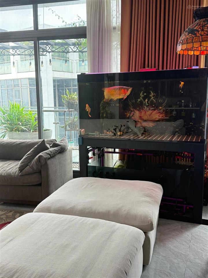 Chủ nhà giảm chào 5 tỷ cho căn penthouse triplex 3 tầng 686m2. tặng nội thất 12 tỷ. giá đầu tư