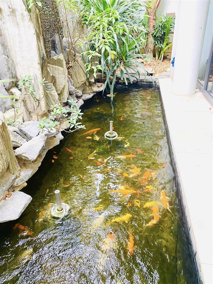 Chủ giảm chào 6 tỷ, bán nhanh biệt thự góc nổi bật kđt c37 bắc hà. giá đầu tư