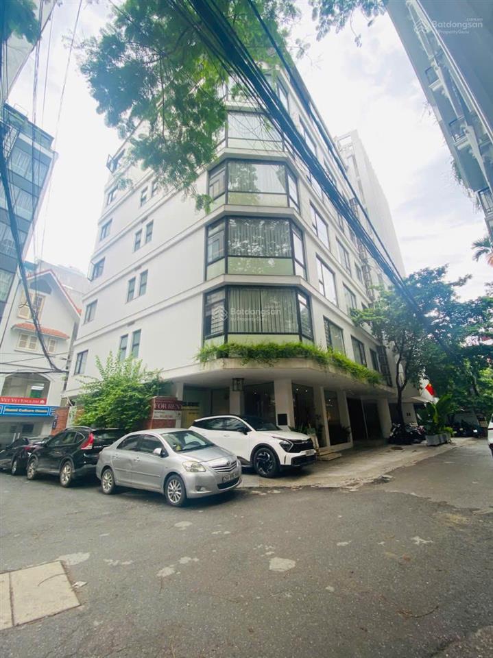 Chủ thiện chí bán căn nhà siêu đẹp phong cách bt phố đào tấn. mặt tiền 11m. giá đầu tư