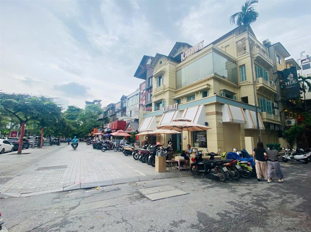 Chủ thiện chí bán căn nhà siêu đẹp phong cách bt phố đào tấn. mặt tiền 11m. giá đầu tư