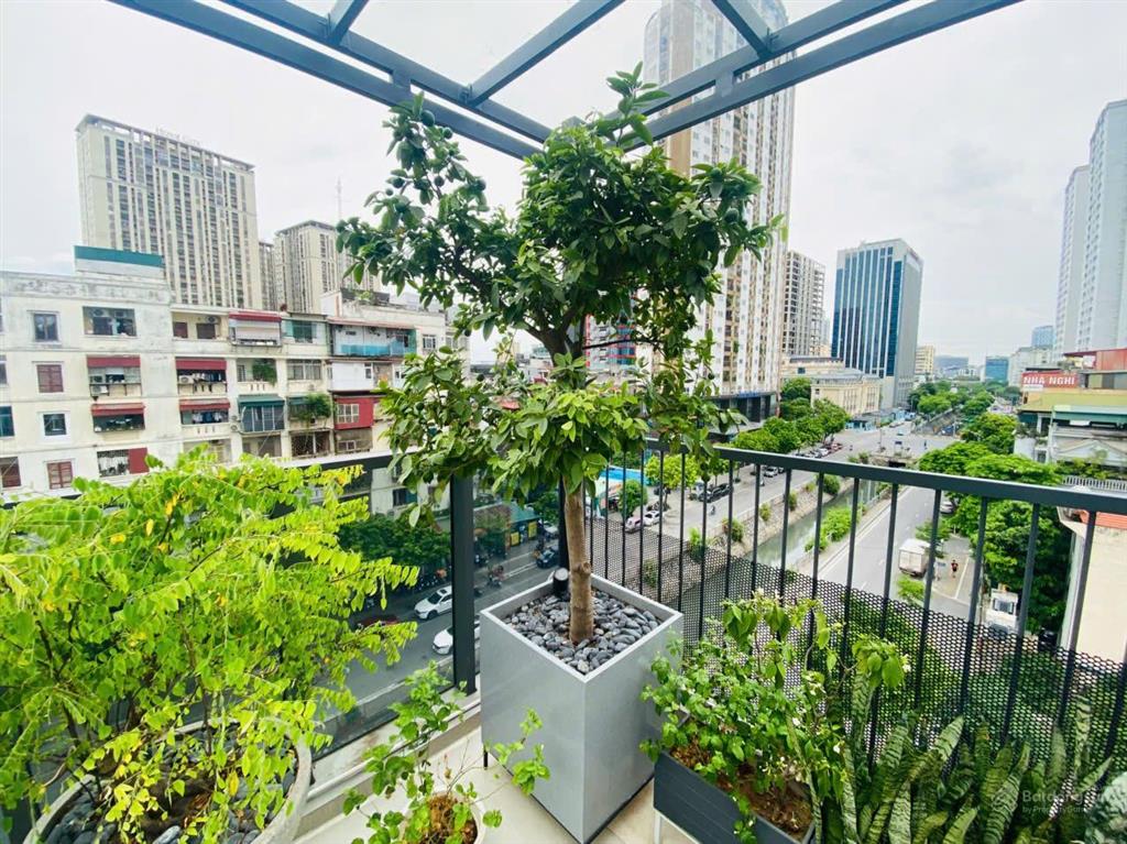 Cực hiếm. bán tòa văn phòng 7 tầng mặt phố mạc thái tổ, hướng đông nam, vỉa hè đá bóng