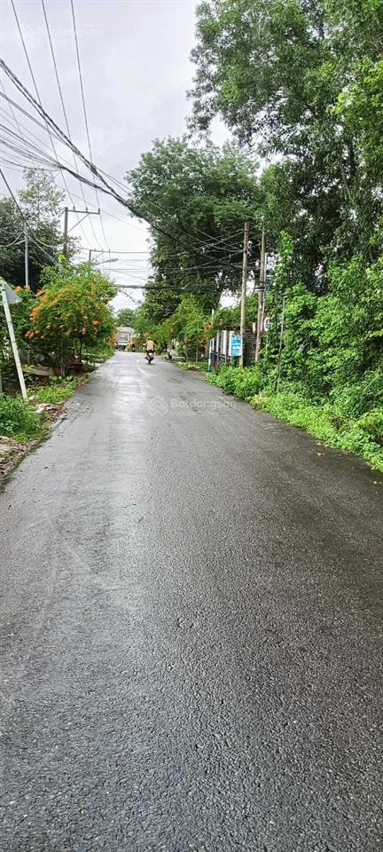 Bán đất thổ vườn mặt tiền đường sở 15 xã phú thạnh cũ (xã nhơn trạch mới)