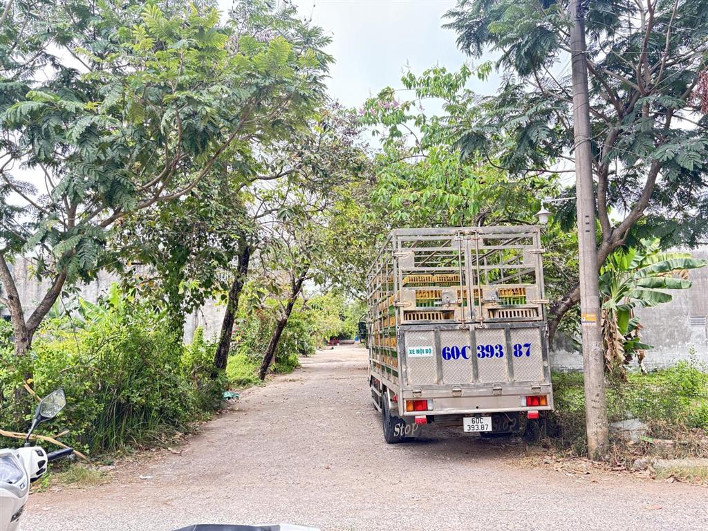 102m² đất thổ cư 100% đường xe hơi cách chợ đại phước 600m