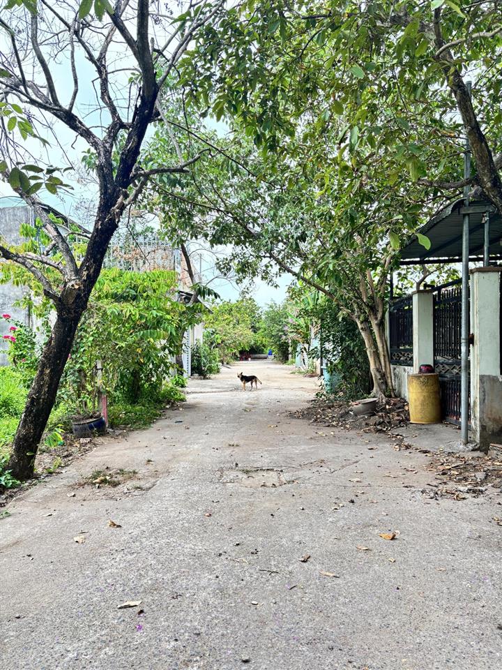 102m² đất thổ cư 100% đường xe hơi cách chợ đại phước 600m
